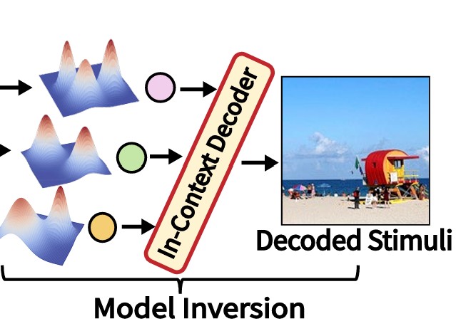 BraInCoDec illustration